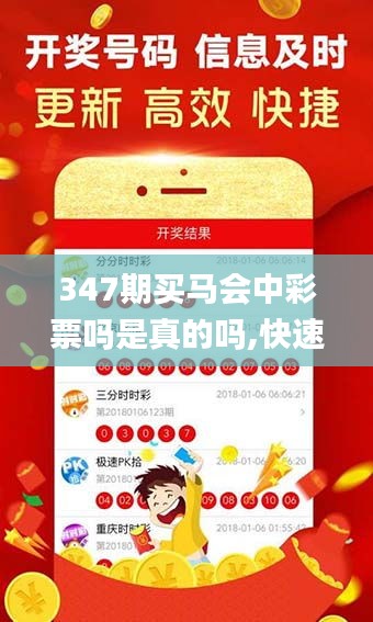 347期买马会中彩票吗是真的吗,快速解答计划设计_豪华版10.264