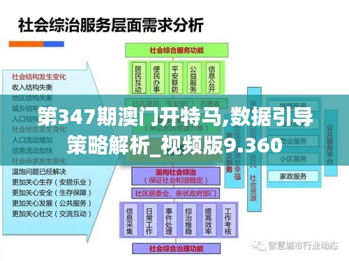 第347期澳门开特马,数据引导策略解析_视频版9.360