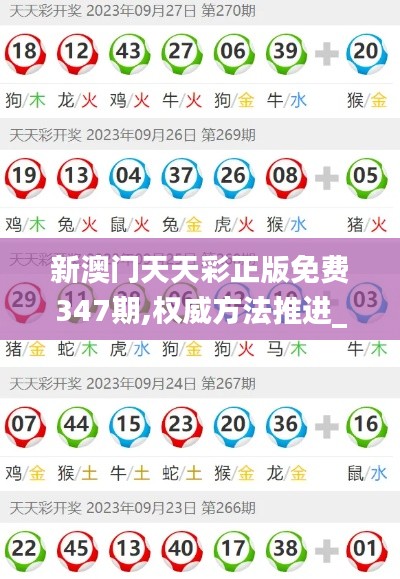 新澳门天天彩正版免费347期,权威方法推进_领航款1.363