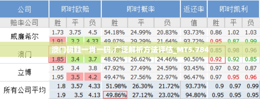 澳门码鞋一肖一码,广泛解析方法评估_MT5.784