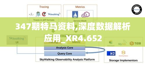 347期特马资料,深度数据解析应用_XR4.652