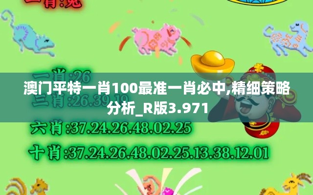 澳门平特一肖100最准一肖必中,精细策略分析_R版3.971