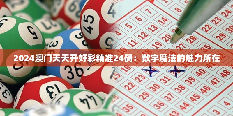 2024澳门天天开好彩精准24码：数字魔法的魅力所在