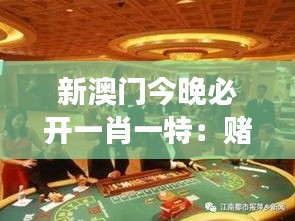 新澳门今晚必开一肖一特：赌场之夜的无限可能