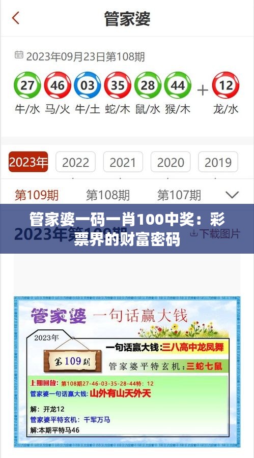 管家婆一码一肖100中奖：彩票界的财富密码