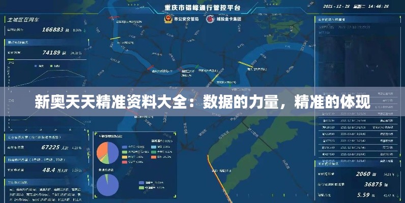 新奥天天精准资料大全：数据的力量，精准的体现