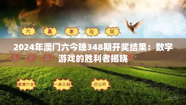 2024年澳门六今晚348期开奖结果：数字游戏的胜利者揭晓