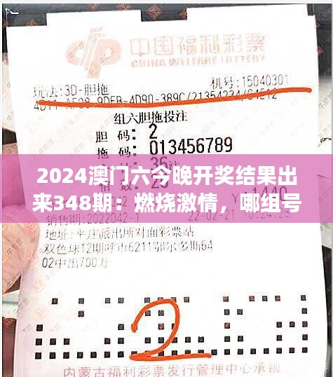 2024澳门六今晚开奖结果出来348期：燃烧激情，哪组号码将书写今晚的传奇？