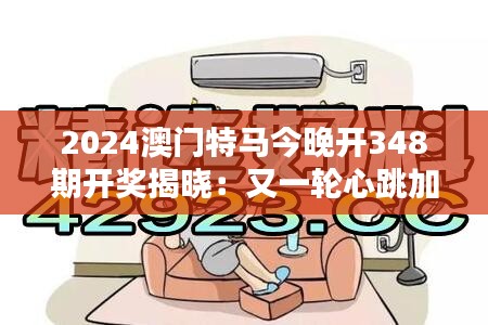 2024澳门特马今晚开348期开奖揭晓：又一轮心跳加速的时刻