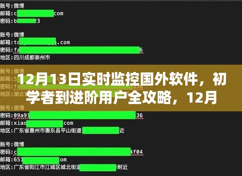 初学者到进阶用户全攻略，如何安全实时监控国外软件（避免违法犯罪风险）