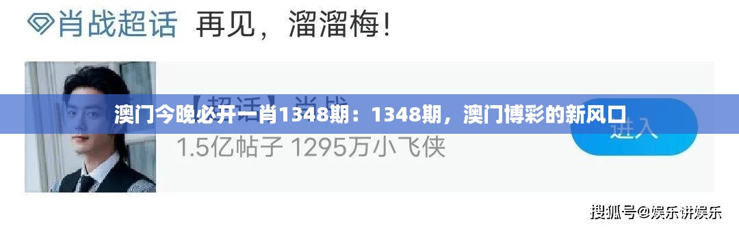 澳门今晚必开一肖1348期：1348期，澳门博彩的新风口