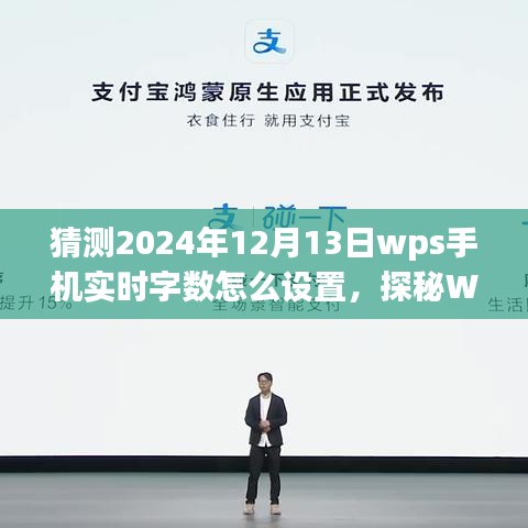 探秘WPS手机实时字数设置之旅，与自然美景共舞，内心平静的设置指南（2024年12月13日版）