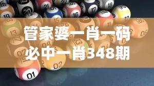 管家婆一肖一码必中一肖348期：精准预测的艺术