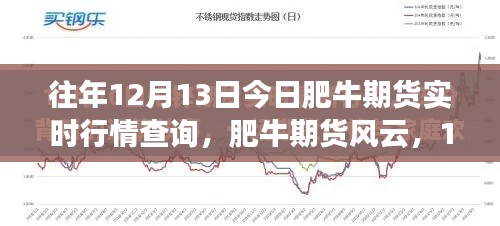 肥牛期货风云，实时行情查询与家的温暖在期货之旅中的交融