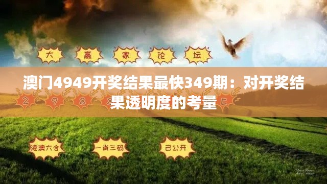 澳门4949开奖结果最快349期：对开奖结果透明度的考量