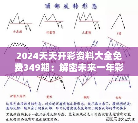 2024天天开彩资料大全免费349期：解密未来一年彩市走势