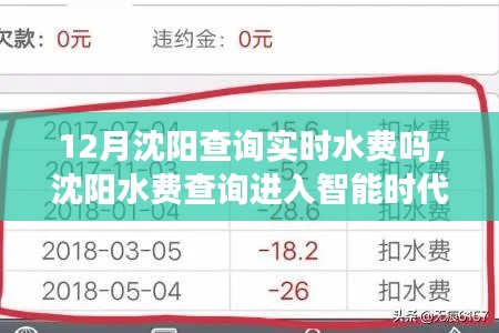 沈阳水费查询智能时代来临，实时水费触手可及！