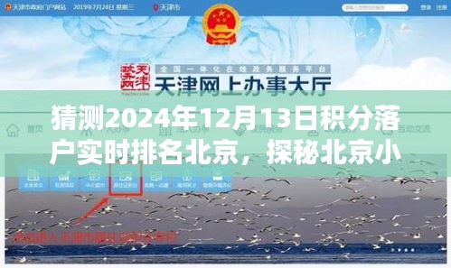 北京积分落户实时排名揭秘与小巷特色小店探秘，2024年落户排名预测与惊喜发现