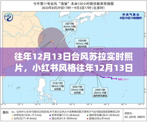 小红书风格往年台风苏拉震撼实时照片回顾，12月13日台风苏拉实时照片大放送