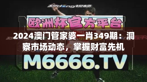 2024澳门管家婆一肖349期：洞察市场动态，掌握财富先机