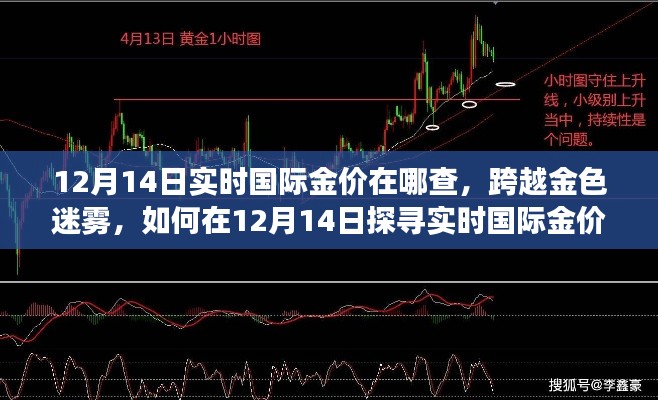 揭秘实时国际金价，探寻黄金价值，激发学习与成长之旅（12月14日版）