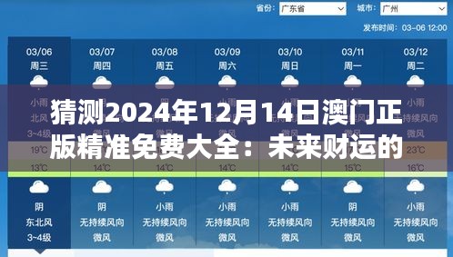 猜测2024年12月14日澳门正版精准免费大全：未来财运的预测器