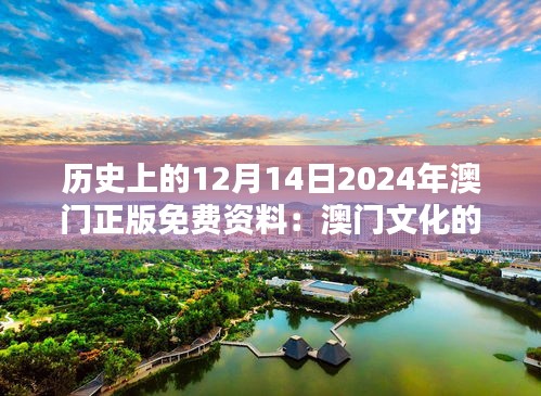 历史上的12月14日2024年澳门正版免费资料：澳门文化的独特魅力