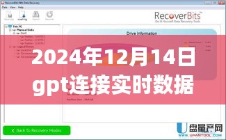 GPT连接下的温馨时光，实时数据之旅，爱的数据之旅启程于2024年12月14日