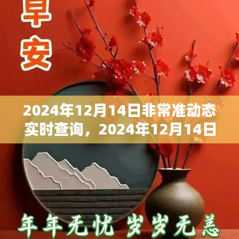 2024年12月14日实时动态精准查询系统