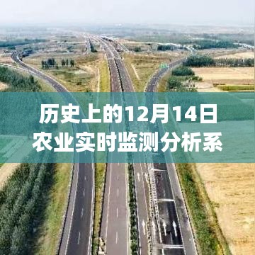 农业实时监测分析系统，从初学者到进阶用户的搭建步骤与12月14日历史分析