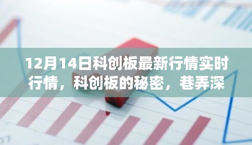 揭秘科创板，最新行情解读与巷弄深处的惊喜