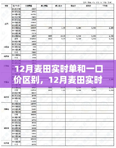 12月麦田实时单与一口价详解，操作指南与攻略大全