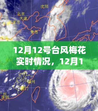 深度解析，台风梅花进展与影响——12月12日实时报告