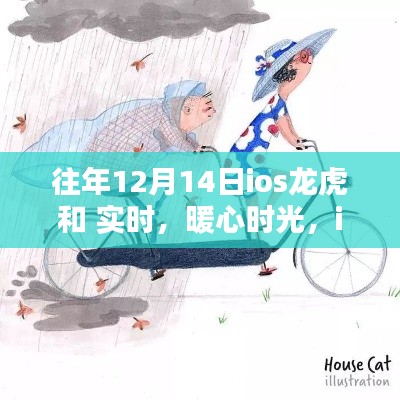 iOS龙虎斗与暖心时光，实时互动体验与温馨的陪伴