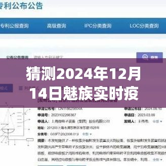 魅族实时疫情风云，回望与洞察2024年12月14日