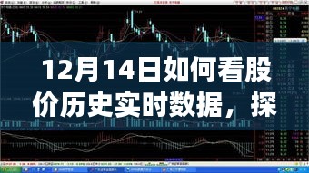 探寻股价秘境，启程探寻股价历史实时数据的心灵之旅，启程日，12月14日