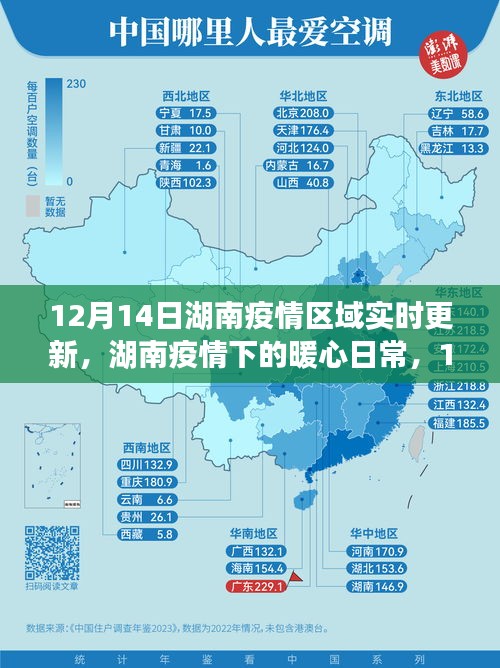 湖南疫情区域实时更新，暖心日常与阳光温情的见证