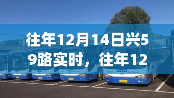 往年12月14日兴59路公交车实时运营回顾与概览