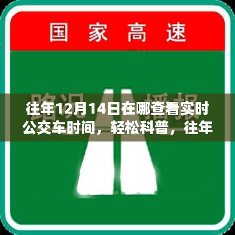 往年12月14日在线实时查看公交车时间，一站式解决方案轻松科普