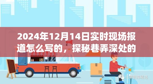 探秘巷弄深处的独特风味，2024年12月14日小巷特色小店现场报道