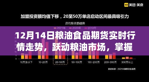 跃动粮油市场，掌握期货行情，成就梦想之路——12月14日粮油食品期货实时行情解析