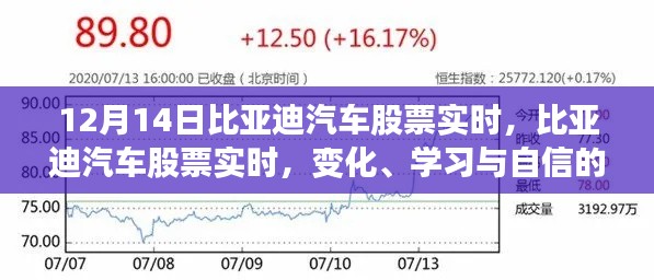 比亚迪汽车股票实时动态，变化、学习与自信的力量