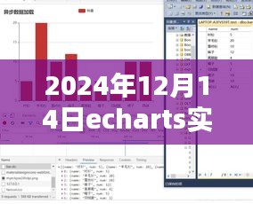 ECharts实时数据可视化深度解析，特性、体验与竞品对比，2024年12月14日实现指南