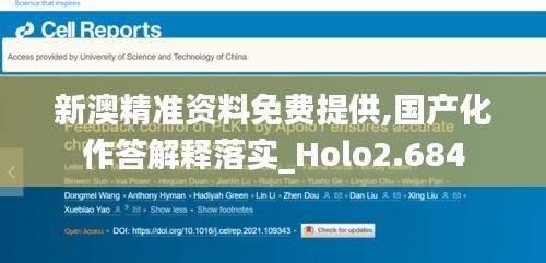 新澳精准资料免费提供,国产化作答解释落实_Holo2.684