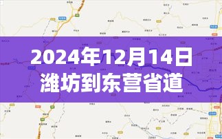 探秘潍坊至东营省道，路况速递与小巷独特风情纪实（实时更新）