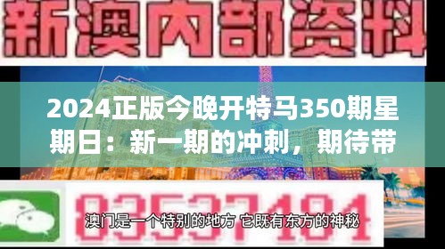 2024正版今晚开特马350期星期日：新一期的冲刺，期待带来好运与惊喜