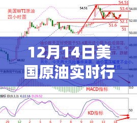 12月14日美国原油实时行情解析，市场洞察与个人观点