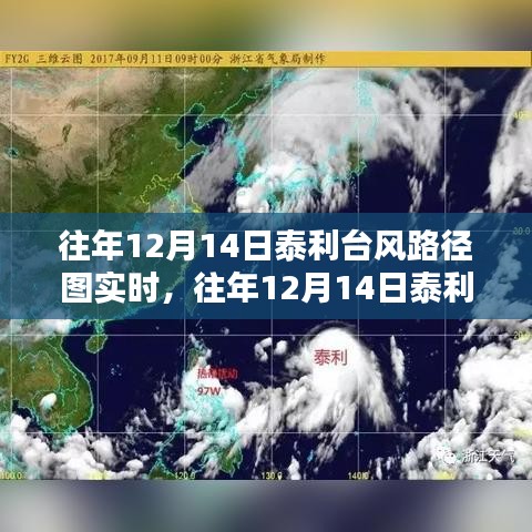 深度解析与经验分享，历年12月14日泰利台风路径实时图解析及分享经验