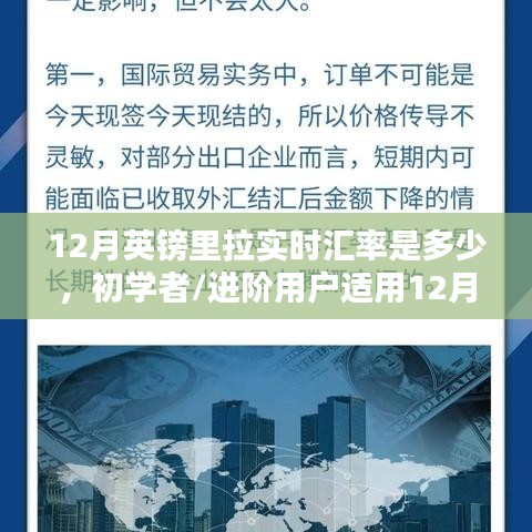 12月英镑里拉实时汇率查询，初学者与进阶用户指南及步骤详解