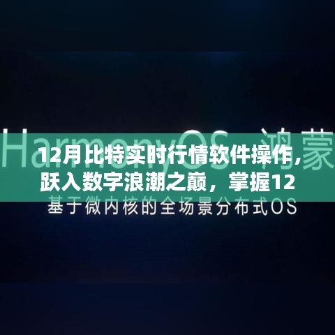 掌握数字浪潮之巅，揭秘12月比特实时行情软件的励志操作之旅